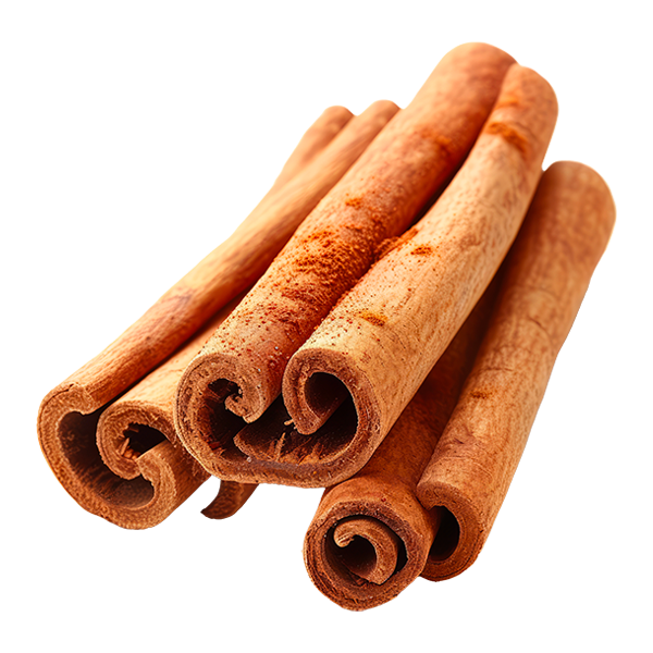 Cassia bark (isolated)