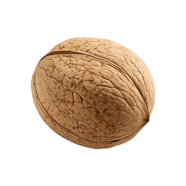 Nutmeg (isolated)