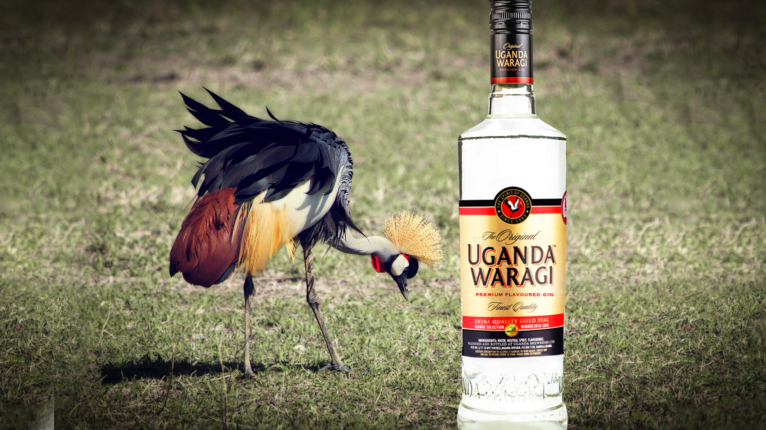 Bottle of Uganda Waragi with a Grey Crown Crane in the background on grass